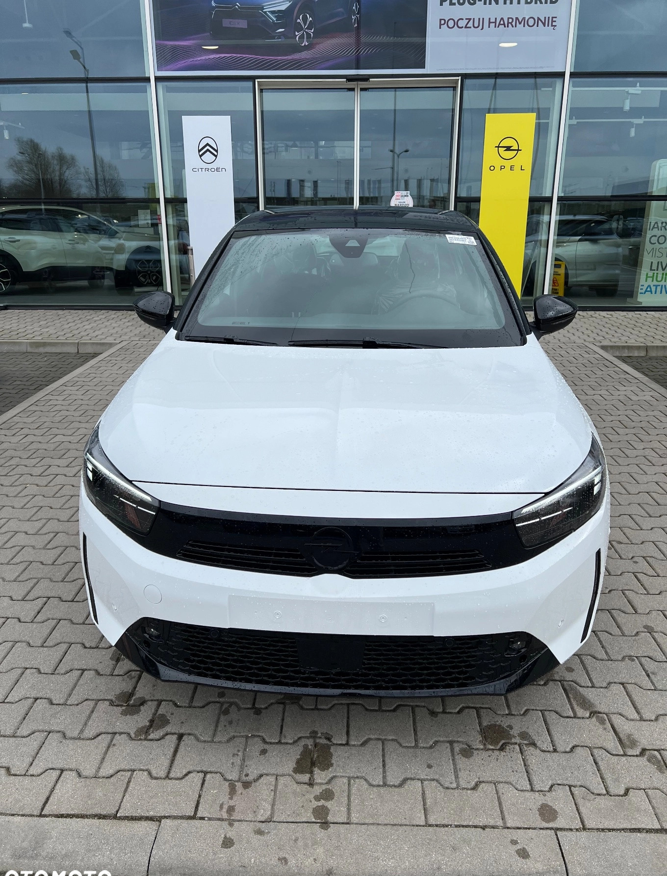 Opel Corsa cena 91900 przebieg: 5, rok produkcji 2024 z Serock małe 137
